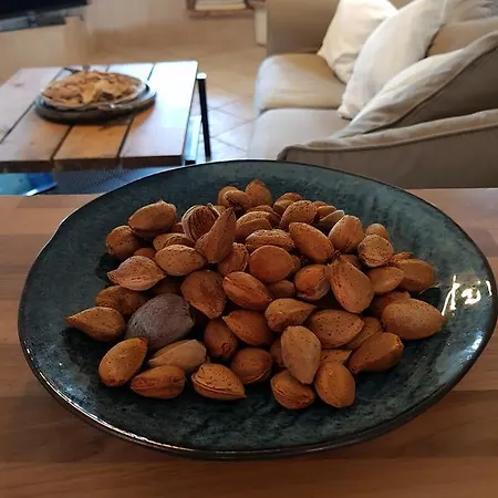 펜션 Cozy Cliff House 네아 포티데아